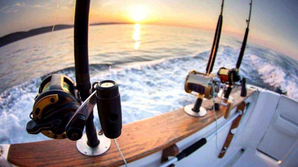 Fishing rods on boat.