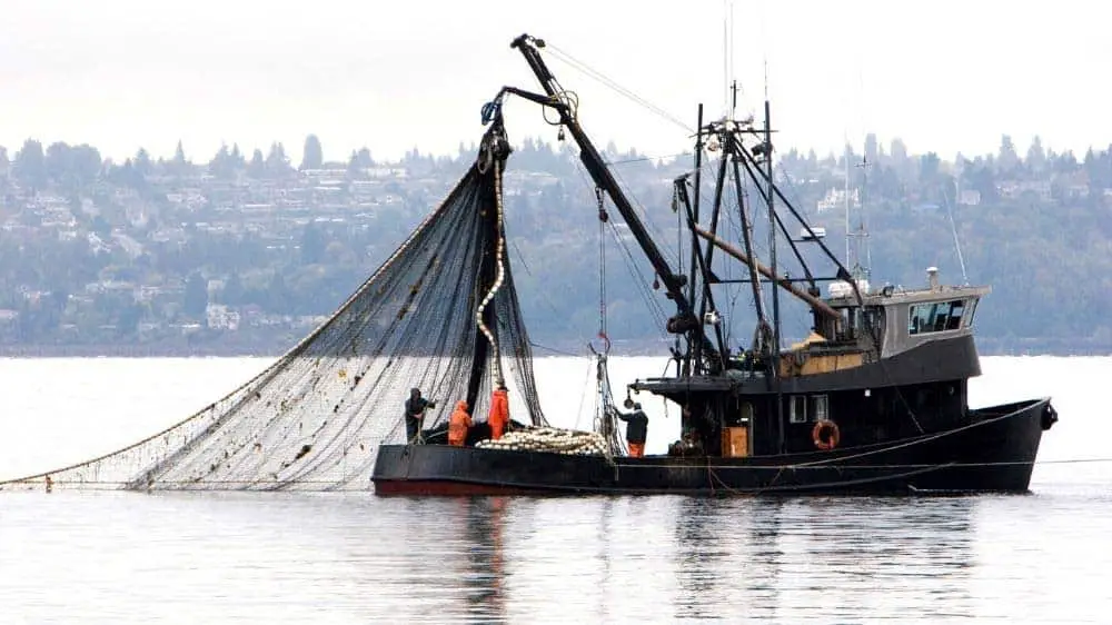 A trawler is a type of commercial fishing boat.