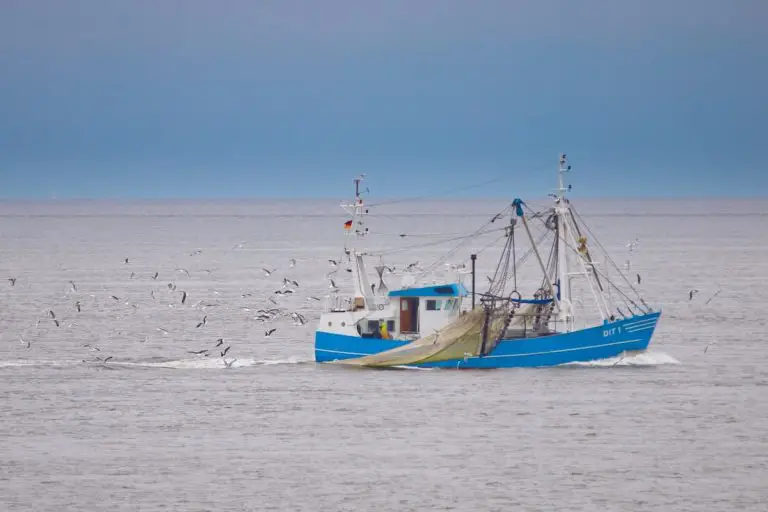 How Long Do Fishing Boats Stay Out on the Ocean? (Explained)