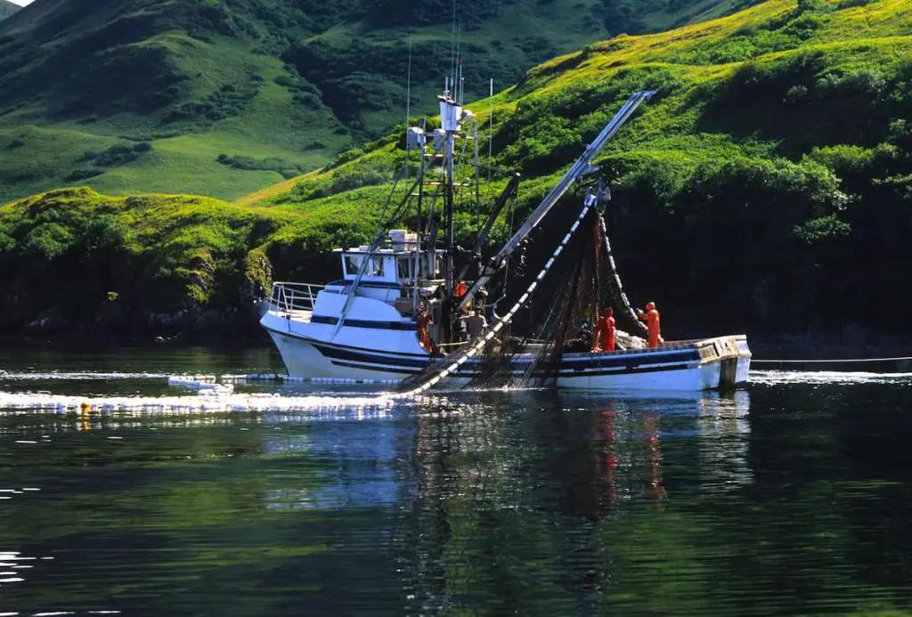What Do Commercial Fishing Boats Catch?