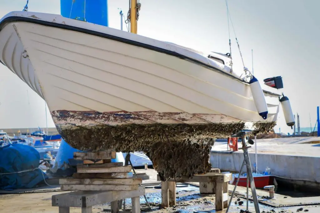 Your Guide To Barnacles On Ships