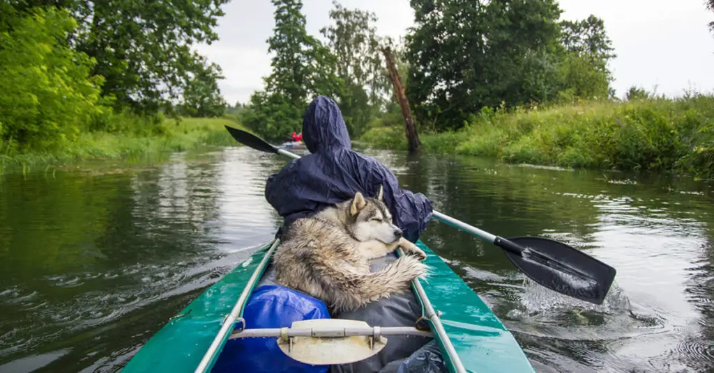 Canoeing vs. Kayaking A Comparison of Two Popular Paddling Sports