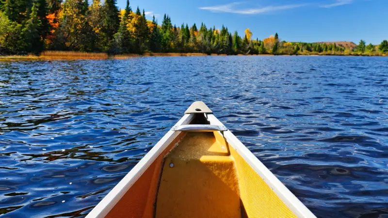 Canoeing vs. Walking: Comparing the Benefits and Drawbacks of Two Popular Activities