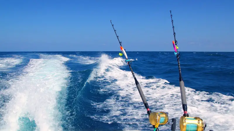 Types of Fishing Licenses for Boating
