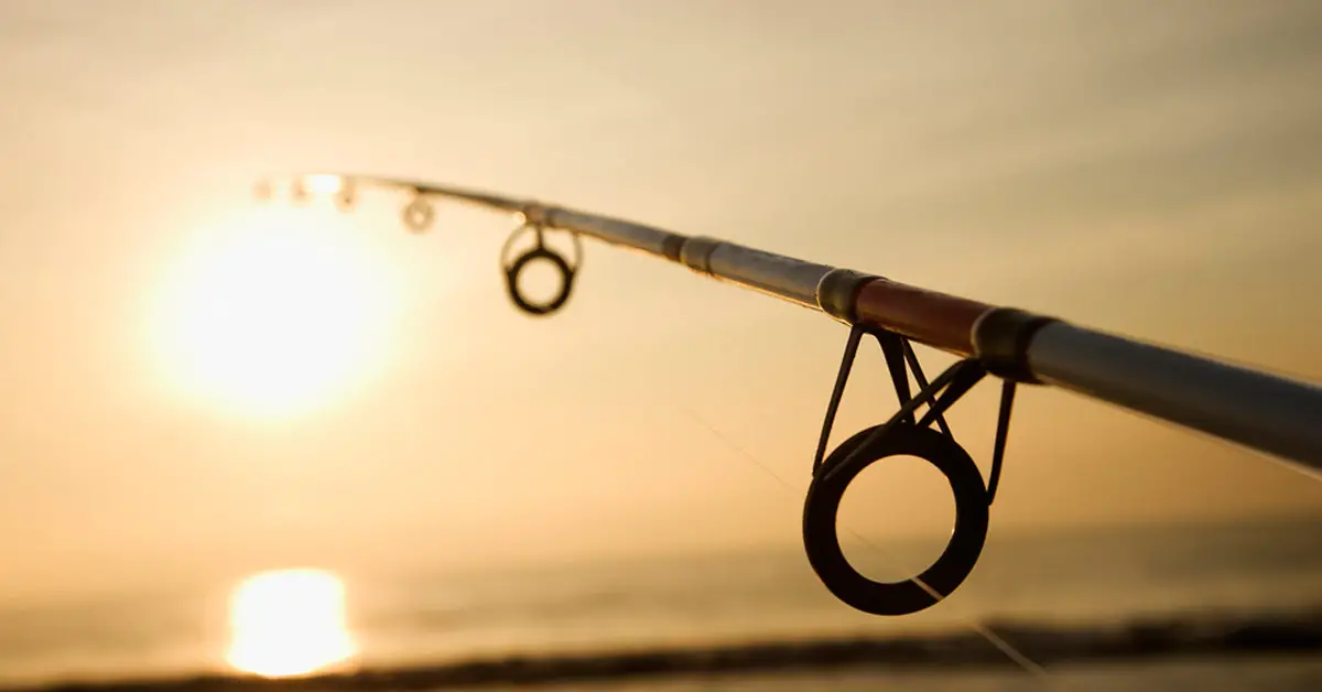 Fishing Pole vs. Fishing Rod: Understanding the Key Differences for Successful Angling