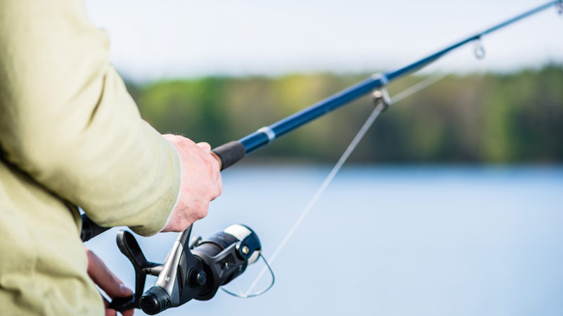 Choosing the Right Tool: Rod or Pole?