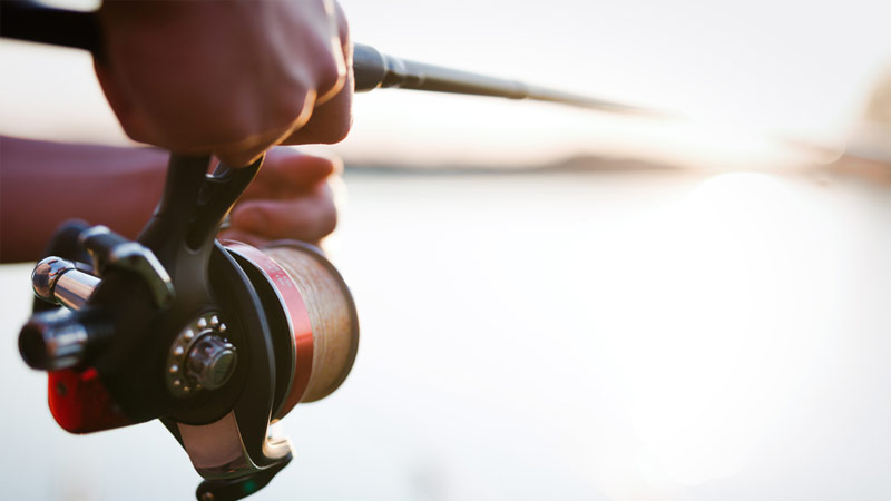 The Composition of Fishing Weights: An Overview