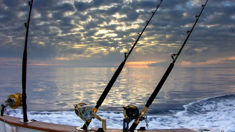 How Do Fishing Rods Not Break? Exploring the Engineering Behind Durable Fishing Gear