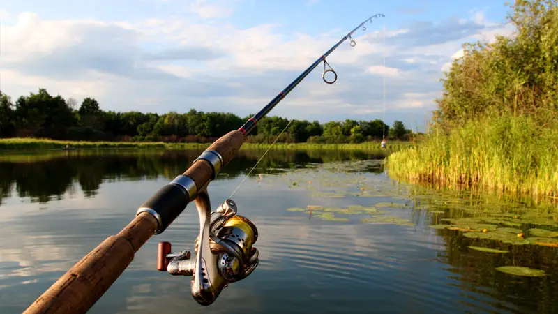 Understanding Pound Test and Line Diameter of Fishing Line