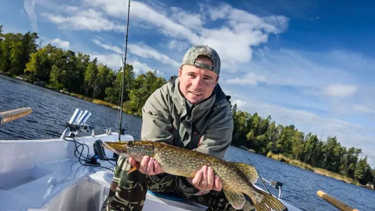 Why Do People Like Fishing? (Discovering the Joys of Fishing