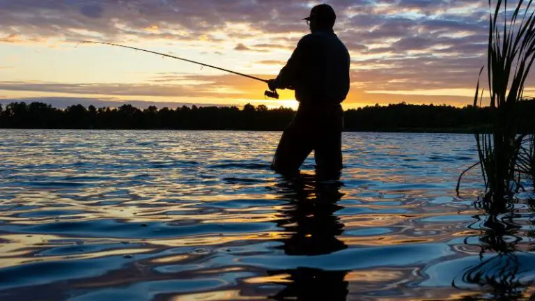 Why Do People Like Fishing? (Discovering the Joys of Fishing